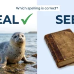 Seal vs Seel: Which Is Correct and What Is the Difference?