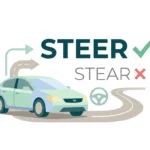 Steer vs Stear: Which Spelling Is Correct?