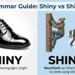 Shinny vs Shiny: What Is the Difference?