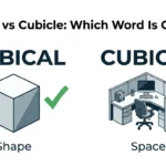 Cubical vs Cubicle: Which Word Is Correct?