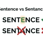Sentence vs Sentance: Which Spelling Is Correct?