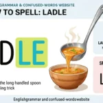 Ladel vs Ladle: Which Spelling Is Correct?