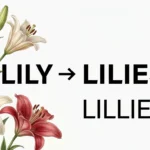 Lilies vs Lillies: Which Spelling Is Correct?