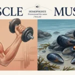 Muscle vs Mussel: Meaning, Difference & Examples.